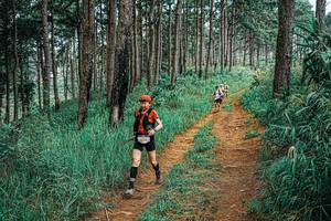 BIB: 
                            <button type="button" onclick="openModal(25698511)" class="btn btn-primary btn-sm float-right btn-popup" data-toggle="modal" data-target=".modal-high-quality">
                        <i class="fas fa-shopping-cart"></i> Add to Cart
                    </button>
                                            <button type="button" onclick="isThisMe(25698511, true)" class="btn btn-success btn-sm float-right btn-popup btn-isme hidden" data-toggle="tooltip" data-placement="bottom" title="นี่คือรูปของคุณใช่ไหม คลิกที่นี่เพื่อเอาเข้าอัลบั้ม">
                        <i class="fas fa-plus"></i> Add to album
                    </button>
                    <button type="button" onclick="isThisMe(25698511, false)" class="btn btn-warning btn-sm float-right btn-popup btn-isnotme hidden">
                        <i class="fas fa-ban"></i> Remove from album
                    </button>